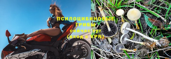 гидропоника Дмитров