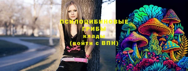 СК Дмитриев