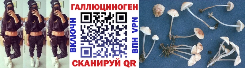 Купить закладки  Новошахтинск  Галлюциногенные грибы Psilocybine cubensis 